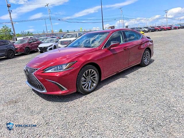 2025 LEXUS ES 300H LUXURY – Lot 55608246 auction photo