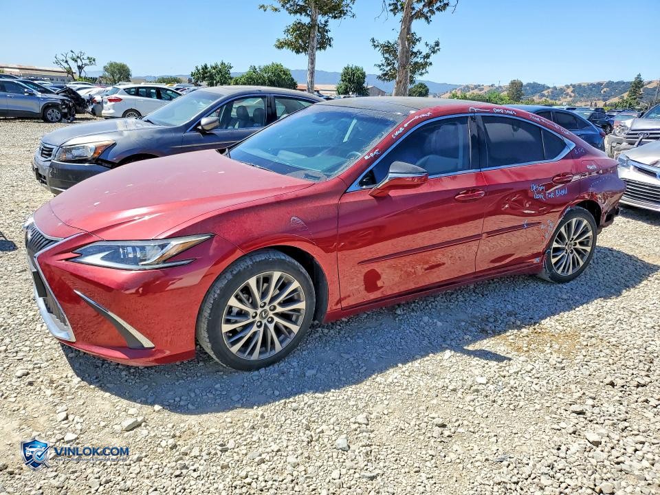 2019 LEXUS ES 350 – Lot 55613196 auction photo