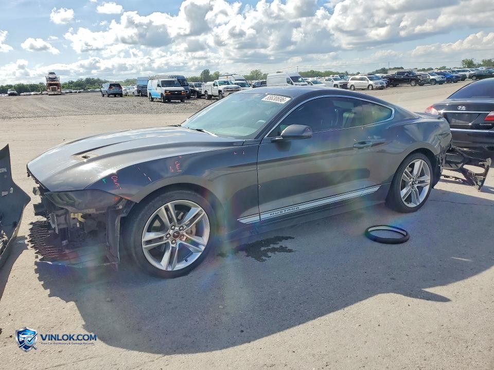 2019 FORD MUSTANG – Lot 55630696 auction photo