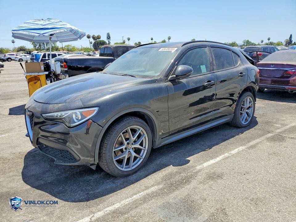 2019 ALFA ROMEO STELVIO – Lot 55640056 auction photo