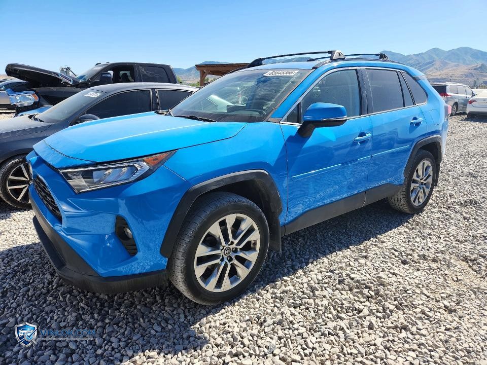 2019 TOYOTA RAV4 – Lot 55645366 auction photo