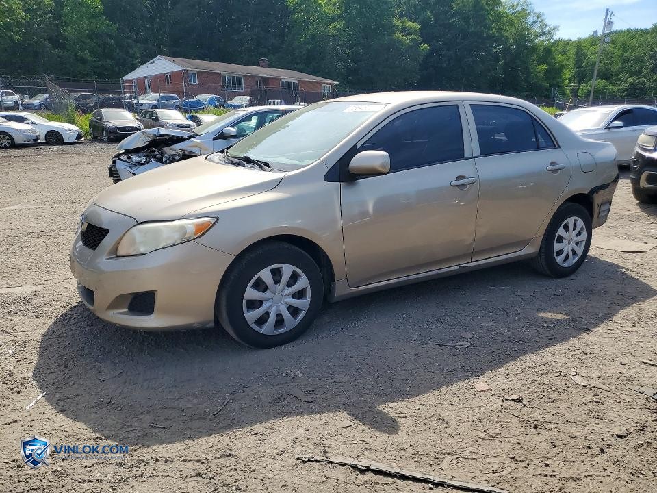 2010 TOYOTA COROLLA LE – Lot 55646056 auction photo