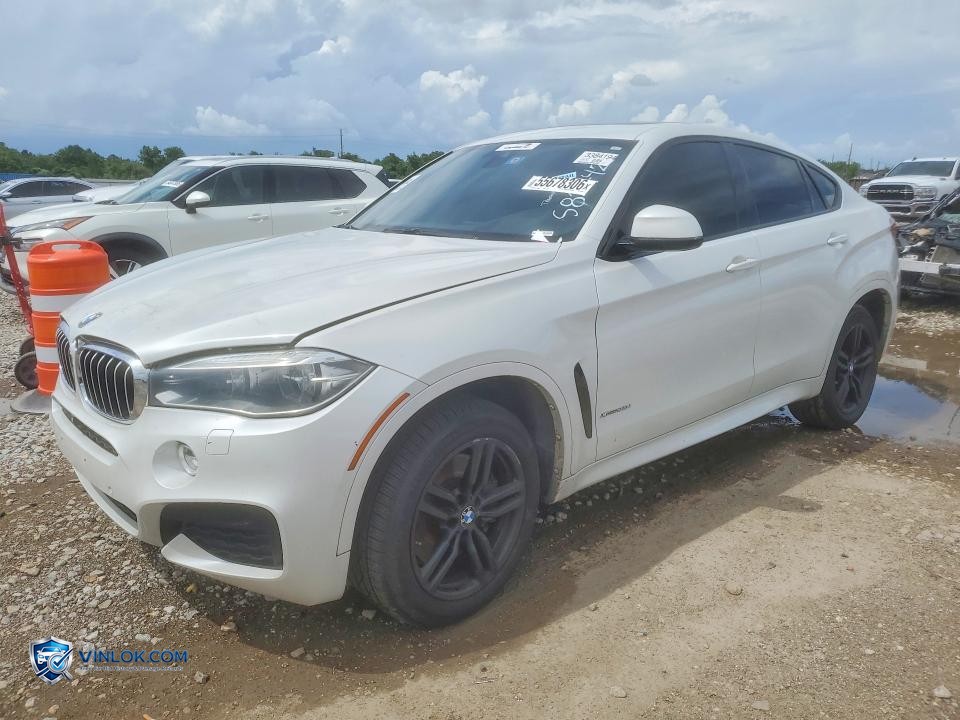 2016 BMW X6 XDRIVE50I – Lot 55678306 auction photo