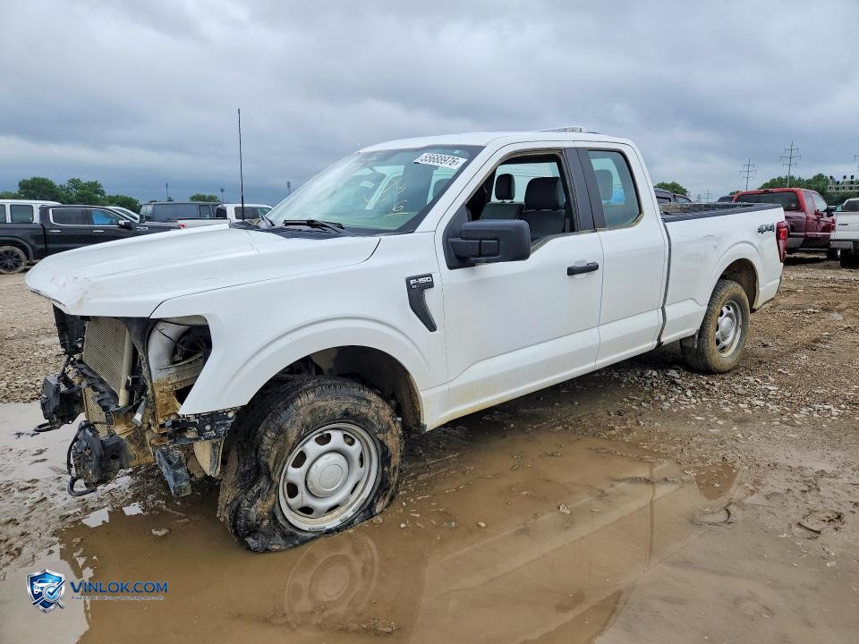 2024 FORD F150 XL – Lot 55688976 auction photo