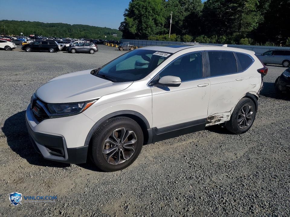 2020 HONDA CR-V EXL – Lot 55703216 auction photo