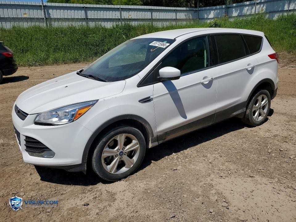 2013 FORD ESCAPE SE – Lot 55715966 auction photo