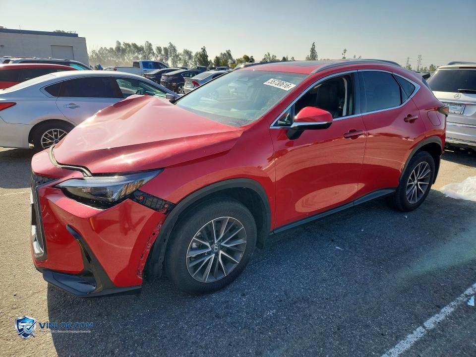 2025 LEXUS NX 250 BASE – Lot 55730616 auction photo