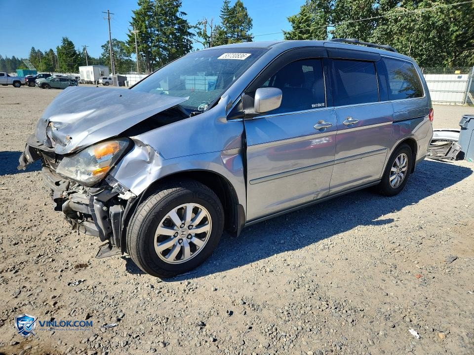 2008 HONDA ODYSSEY EXL – Lot 55730836 auction photo