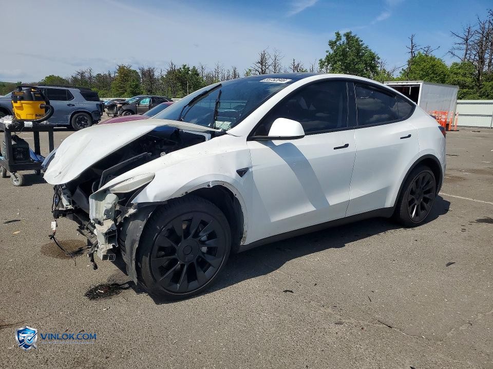 2023 TESLA MODEL Y – Lot 55752646 auction photo
