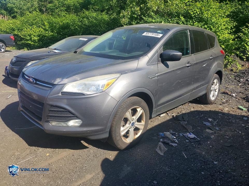 2014 FORD ESCAPE SE – Lot 55779106 auction photo