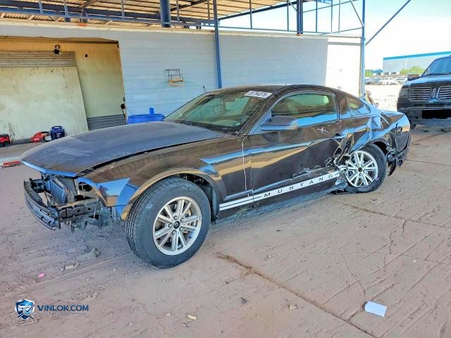 2005 FORD MUSTANG – Lot 55794376 auction photo