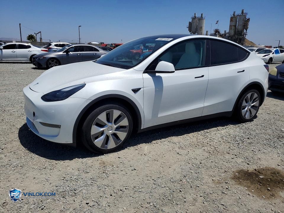 2023 TESLA MODEL Y – Lot 55801536 auction photo