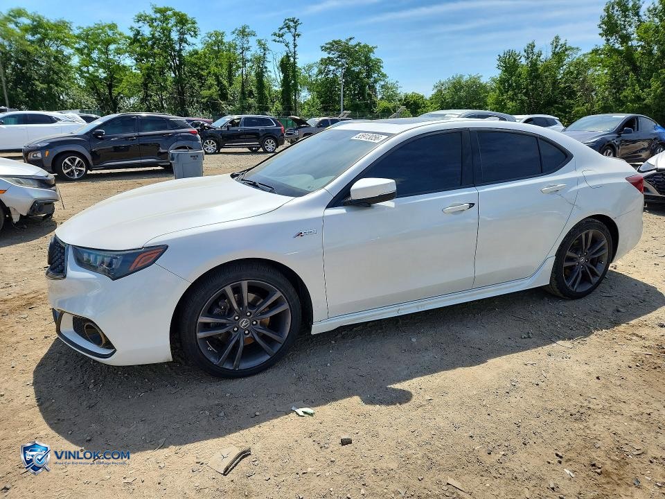 2019 ACURA TLX TECHNOLOGY – Lot 55913056 auction photo