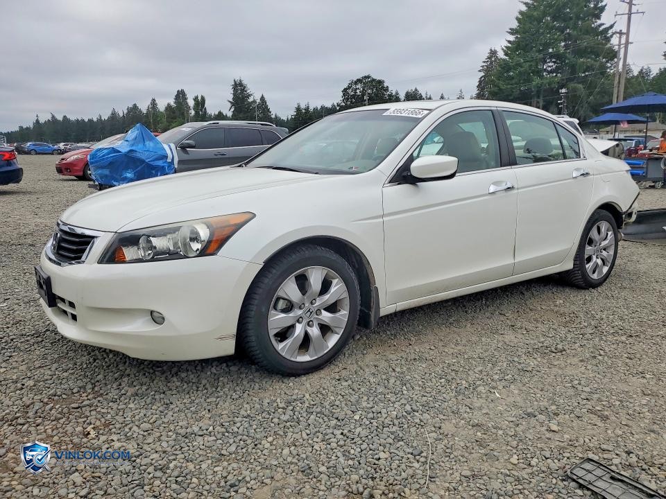 2008 HONDA ACCORD EXL – Lot 55931866 auction photo