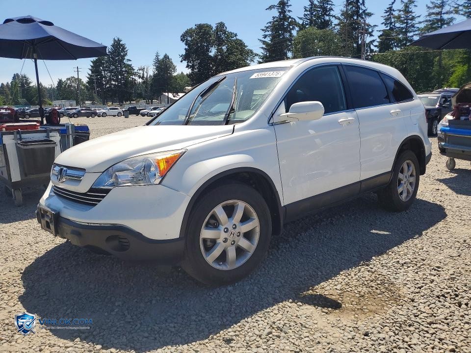 2007 HONDA CR-V EXL – Lot 55941376 auction photo
