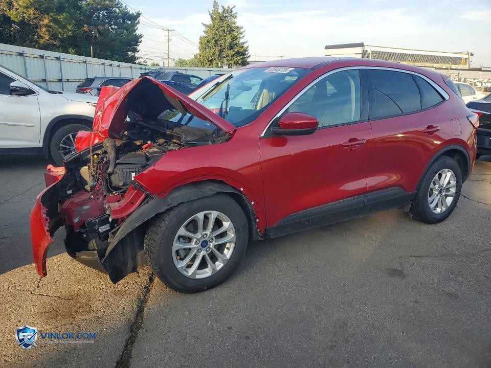 2020 FORD ESCAPE SE – Lot 55948226 auction photo