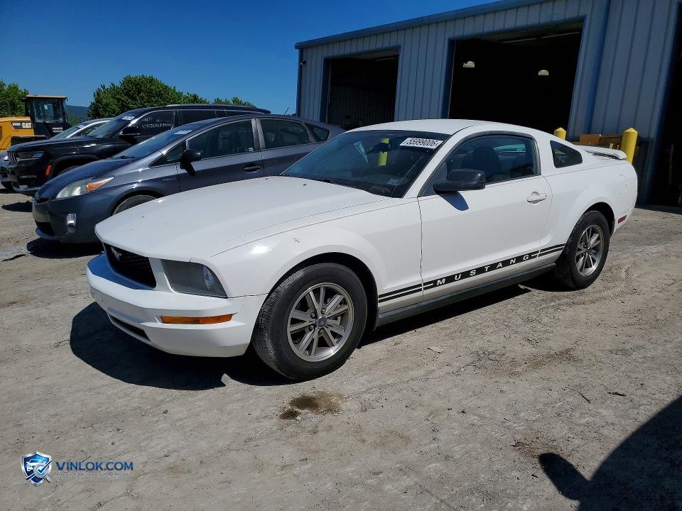 2005 FORD MUSTANG – Lot 55999006 auction photo