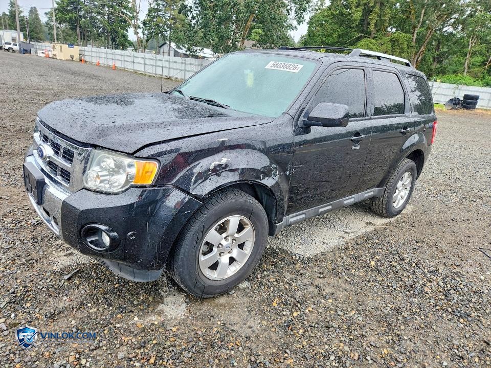 2011 FORD ESCAPE LIMITED – Lot 56036826 auction photo