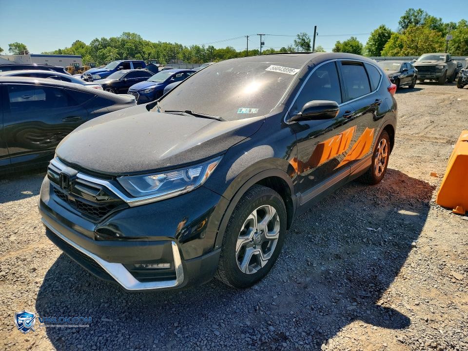 2017 HONDA CR-V EX – Lot 56043896 auction photo