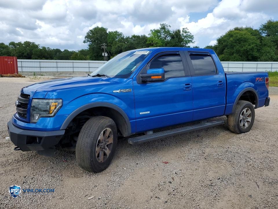 2014 FORD F150 SUPERCREW – Lot 56069686 auction photo