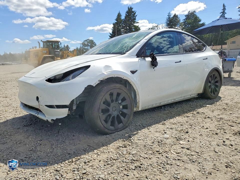 2025 TESLA MODEL Y – Lot 56094606 auction photo