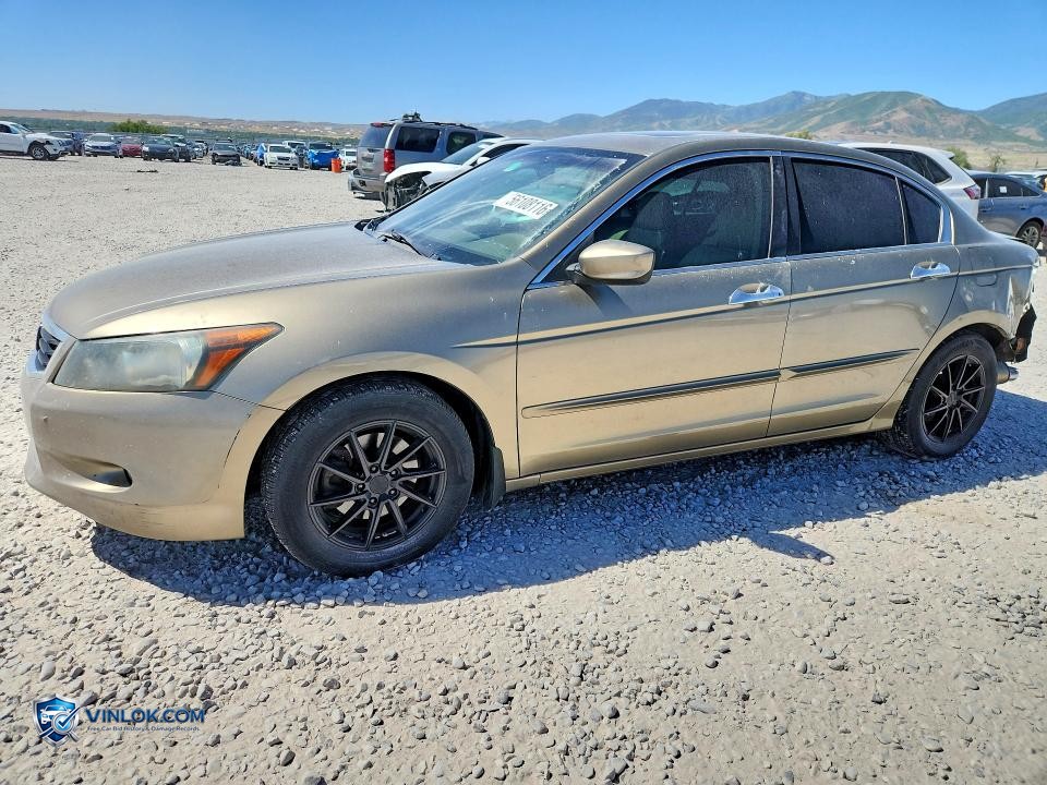 2008 HONDA ACCORD EXL – Lot 56108116 auction photo