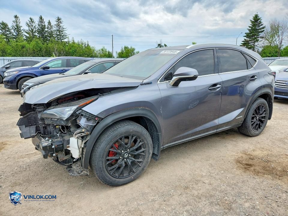 2020 LEXUS NX 300H LUXURY – Lot 56123946 auction photo