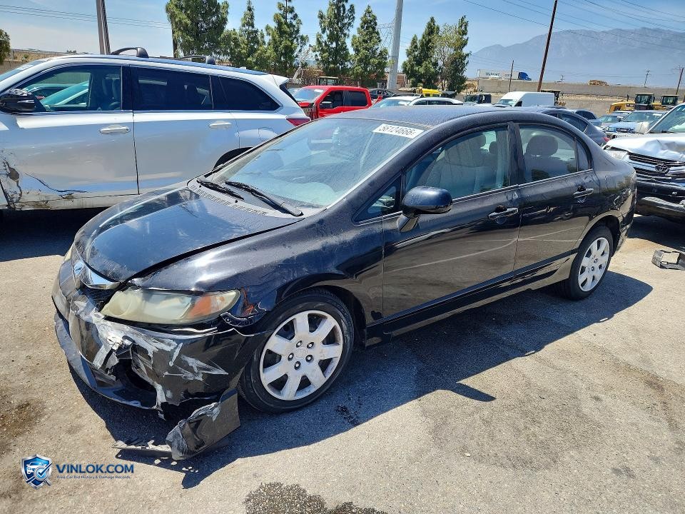2011 HONDA CIVIC LX – Lot 56124666 auction photo