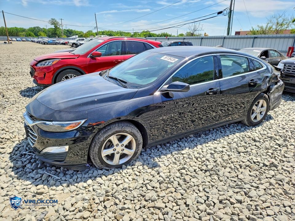 2019 CHEVROLET MALIBU LS – Lot 56136426 auction photo