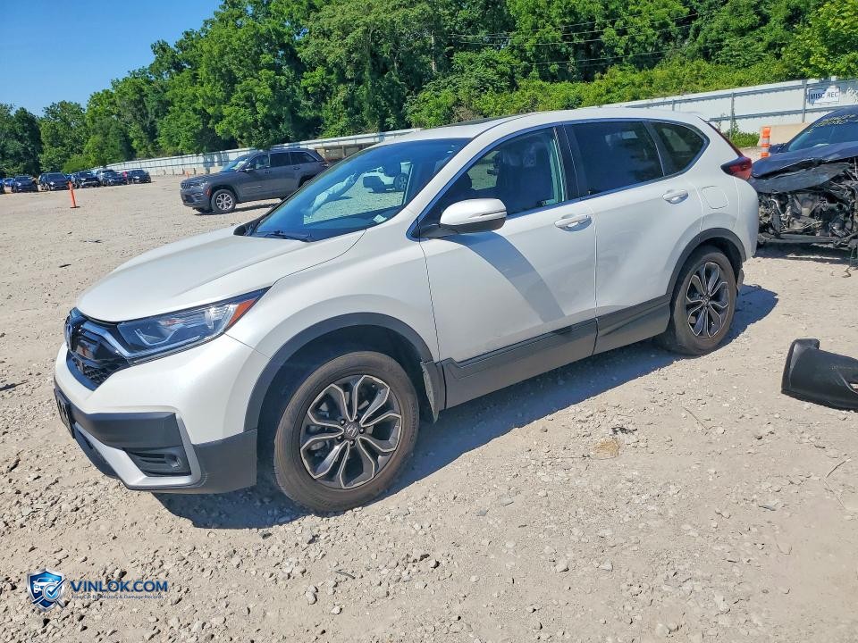 2021 HONDA CR-V EXL – Lot 56145626 auction photo