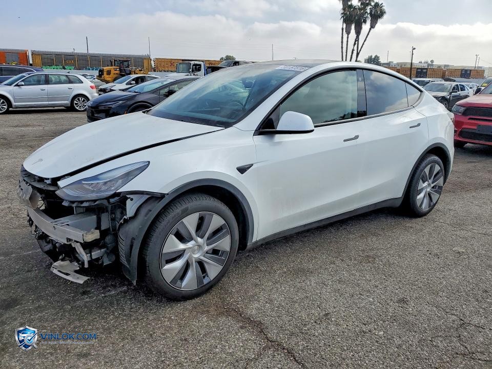 2023 TESLA MODEL Y – Lot 56157316 auction photo