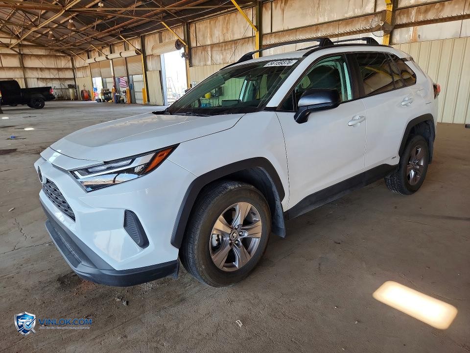 2025 TOYOTA RAV4 LE – Lot 56159376 auction photo