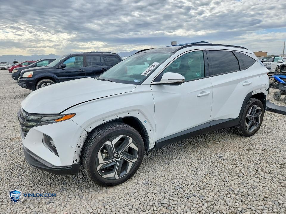 2024 HYUNDAI TUCSON LIMITED – Lot 56170646 auction photo