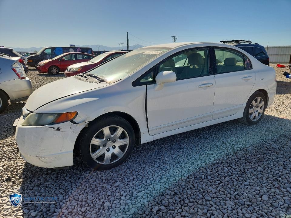 2008 HONDA CIVIC LX – Lot 56171746 auction photo