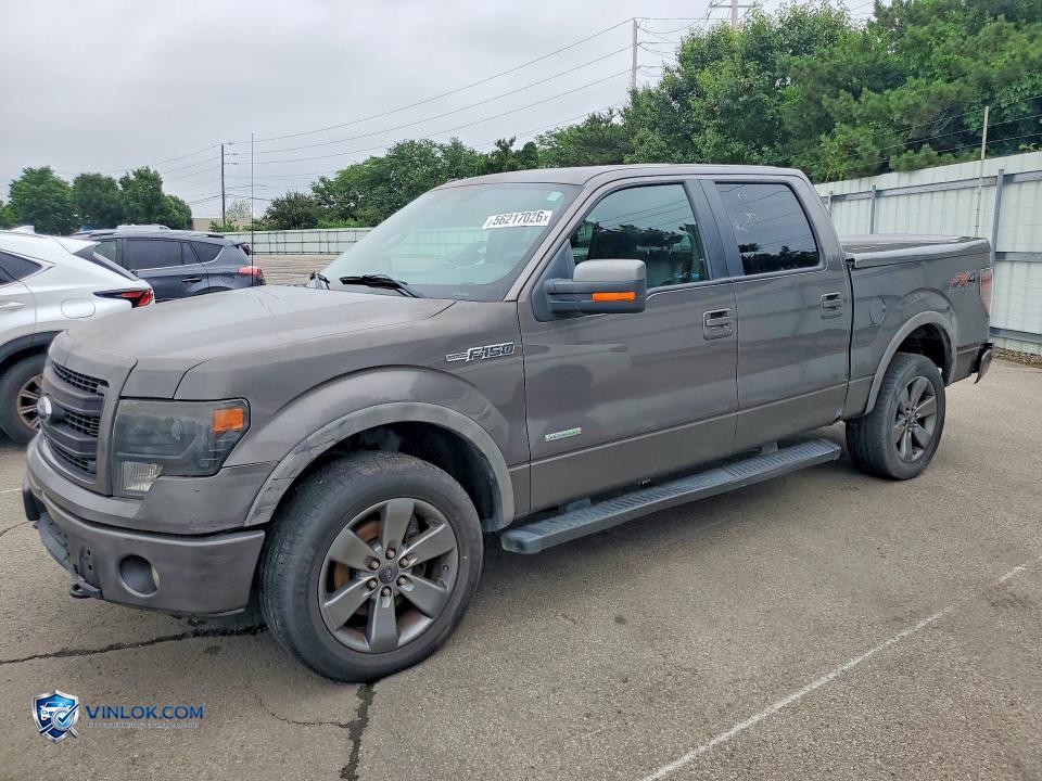 2014 FORD F150 SUPERCREW – Lot 56217026 auction photo