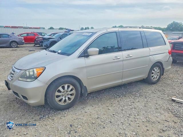 2009 HONDA ODYSSEY EXL – Lot 56222346 auction photo