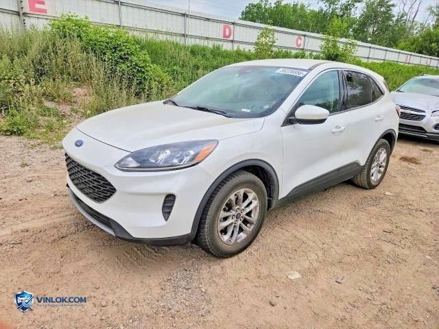 2020 FORD ESCAPE SE – Lot 56226956 auction photo