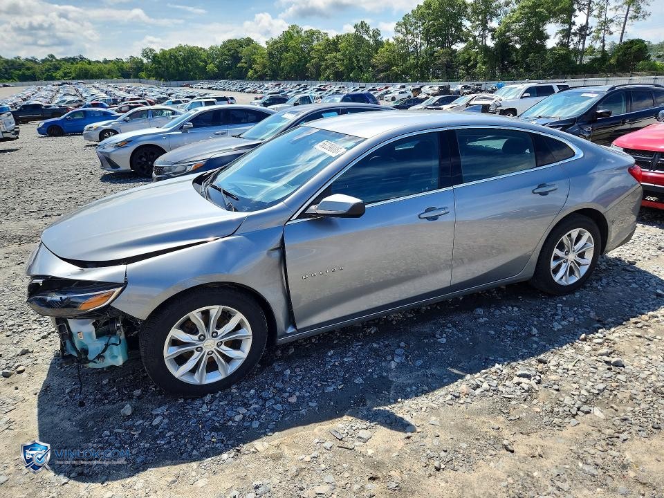 2023 CHEVROLET MALIBU LT – Lot 56239086 auction photo