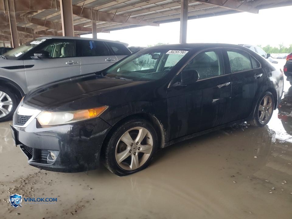 2009 ACURA TSX – Lot 56255796 auction photo