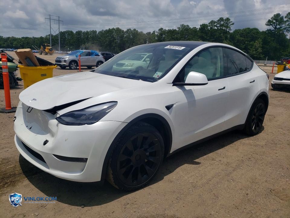 2023 TESLA MODEL Y – Lot 56261516 auction photo