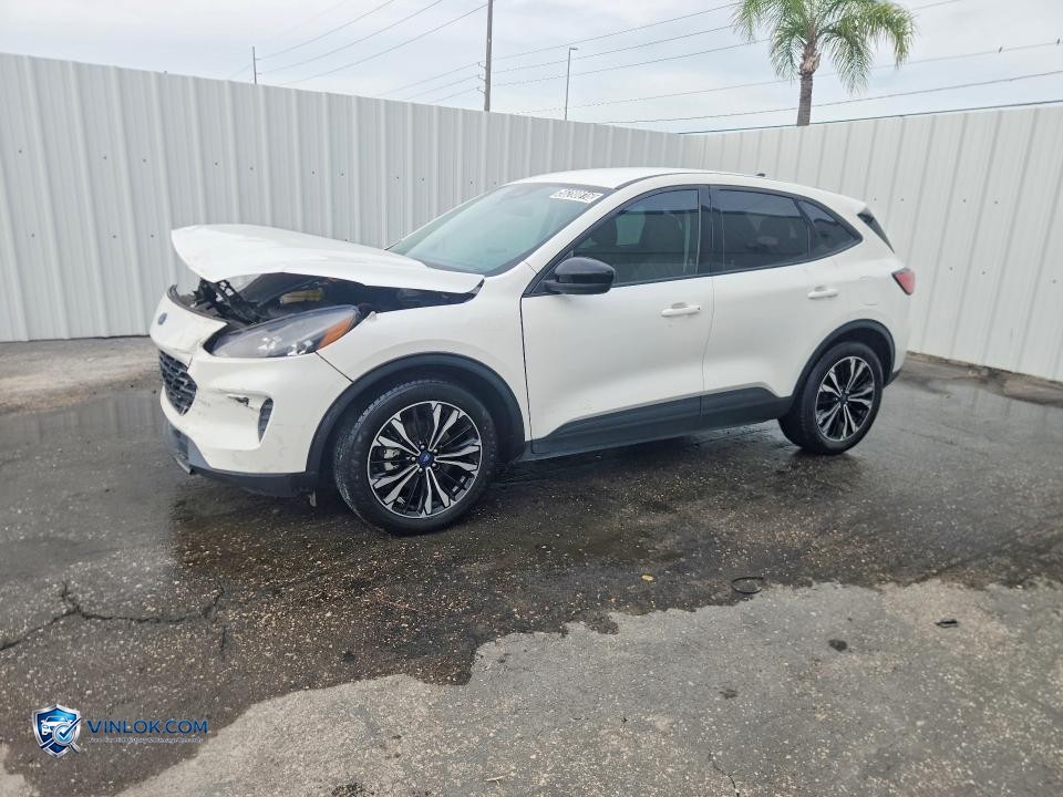 2021 FORD ESCAPE SE – Lot 56280816 auction photo