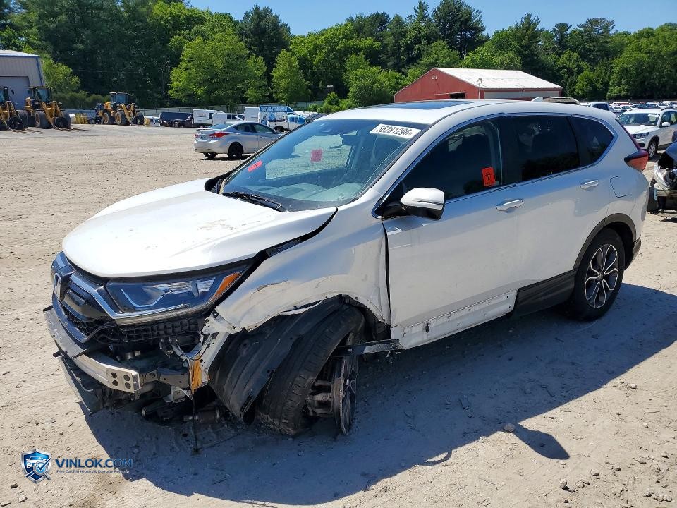 2022 HONDA CR-V EX – Lot 56281296 auction photo