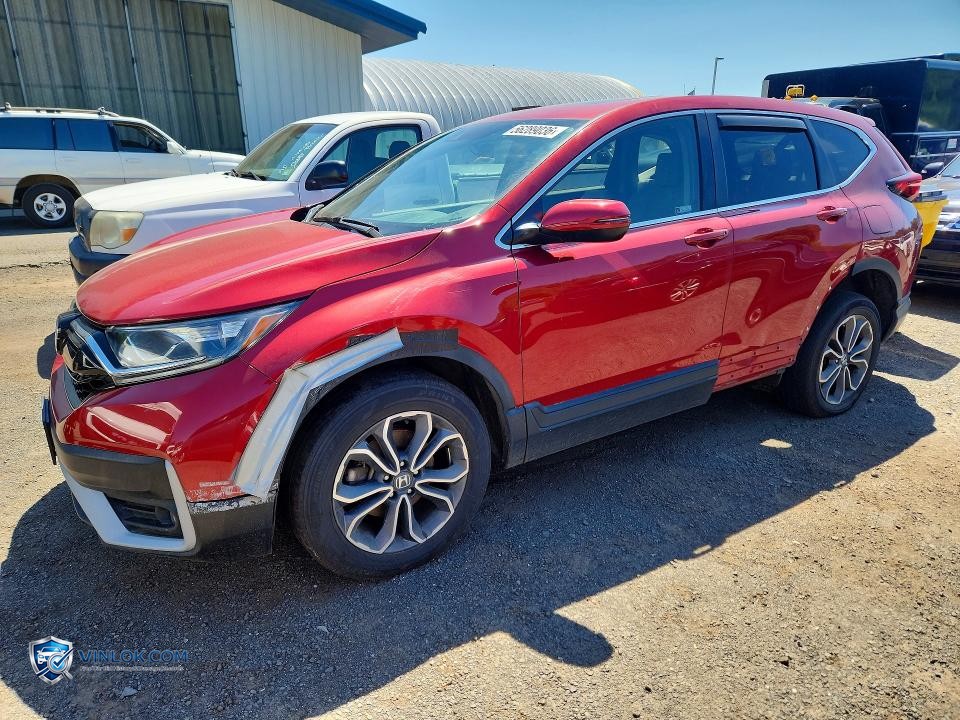 2021 HONDA CR-V EXL – Lot 56289036 auction photo