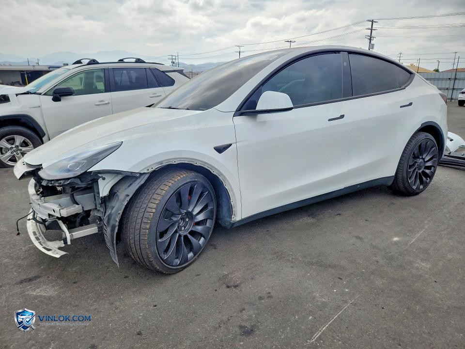 2025 TESLA MODEL Y – Lot 56300326 auction photo