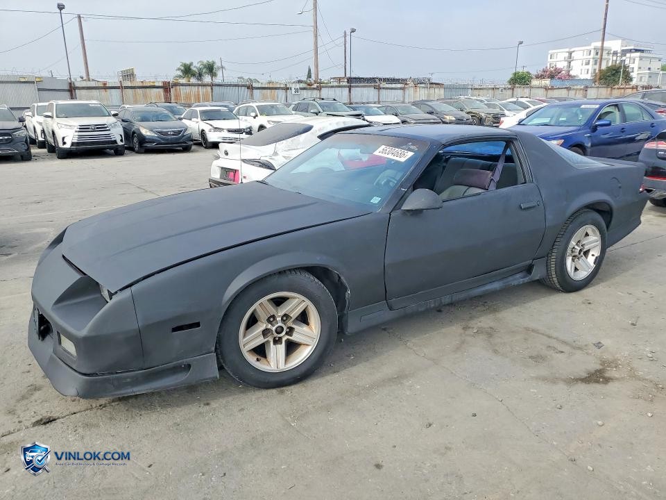 1991 CHEVROLET CAMARO RS – Lot 56304686 auction photo