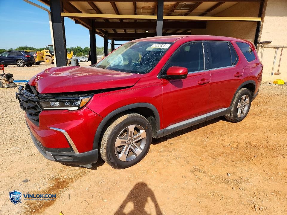 2024 HONDA PILOT EXL – Lot 56309256 auction photo