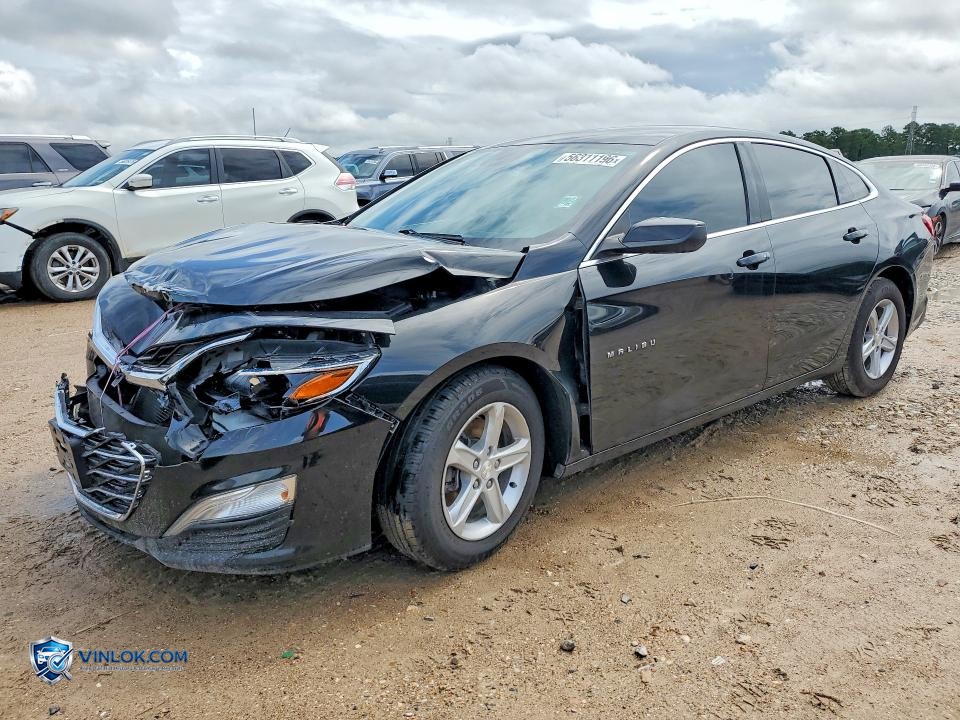2020 CHEVROLET MALIBU LS – Lot 56311196 auction photo