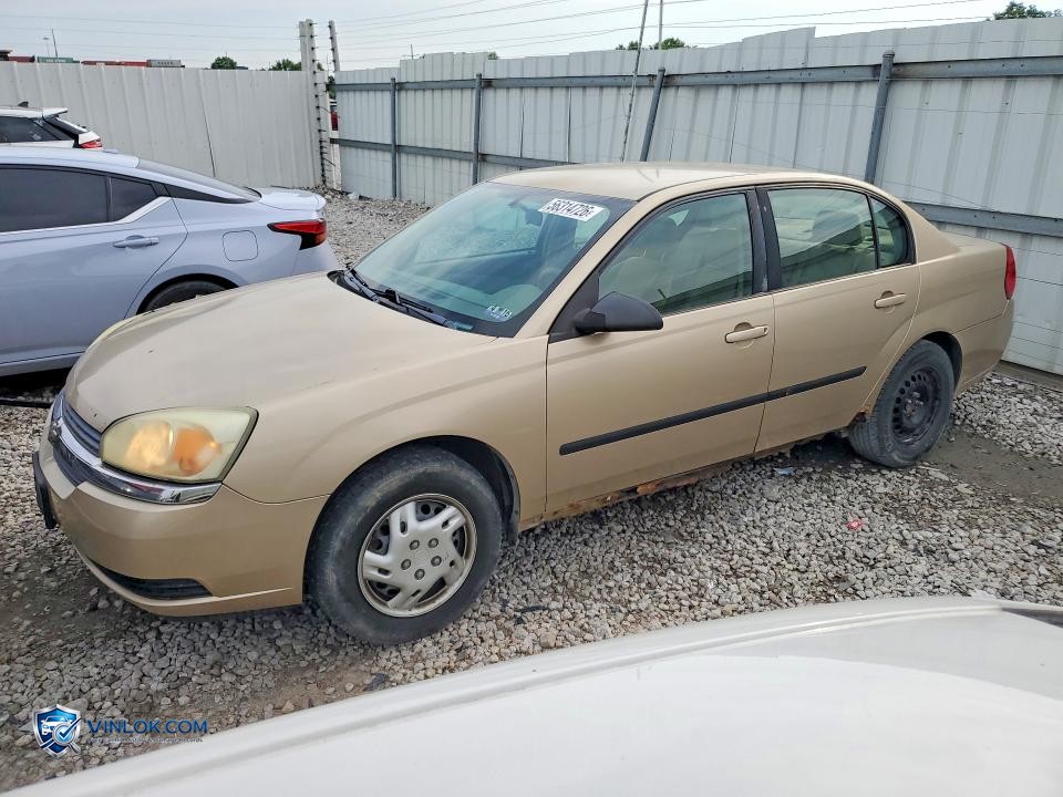 2005 CHEVROLET MALIBU – Lot 56314726 auction photo