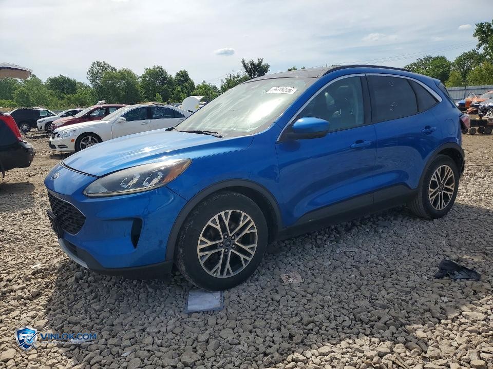 2020 FORD ESCAPE SEL – Lot 56316256 auction photo