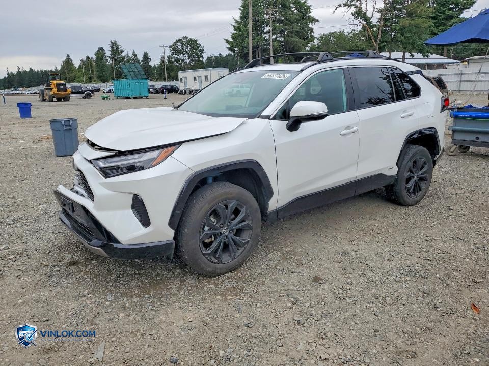 2023 TOYOTA RAV4 SE – Lot 56327426 auction photo